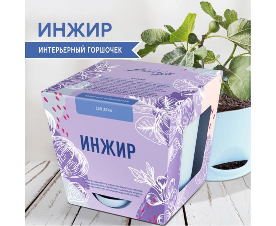 Набор для выращивания растений Тысяча Листьев инжир tl-032 – изображение 2