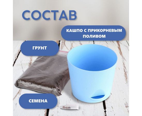 Набор для выращивания растений Тысяча Листьев инжир tl-032 – изображение 7