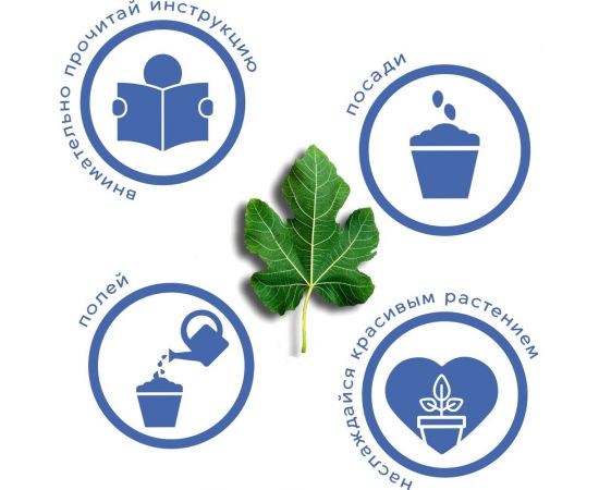 Набор для выращивания растений Тысяча Листьев инжир tl-032 – изображение 5