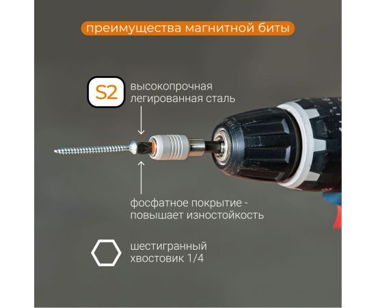 Биты магнитные PH2, 25 мм, 10 шт, S2 rage by VIRA 554153 – изображение 6