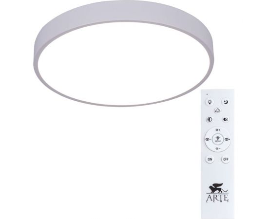 Потолочный светильник Arte Lamp ARENA A2661PL-1WH 