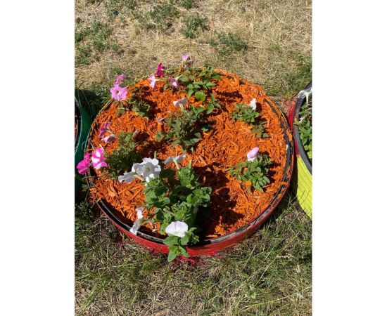 Декоративная щепа Сила Суздаля оранжевая, 60 л 4680004062431 – изображение 6