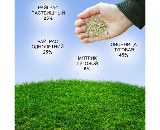 Семена газона Зри в корень Медленнорастущий 10 кг 4650243008842 – изображение 2