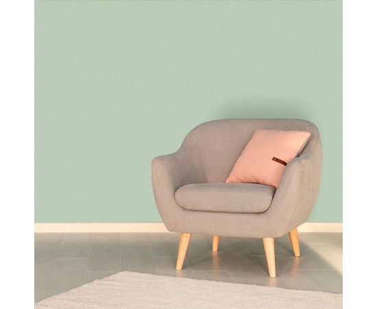 Декоративная штукатурка Paritet Базовое покрытие №4 (мятный; 1 кг) PDLW-B42 