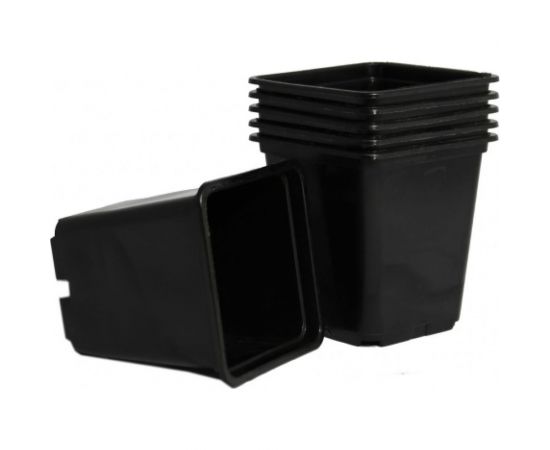 Набор горшков для рассады Ангора 6 шт., по 0.5 л, черный А5532чр 