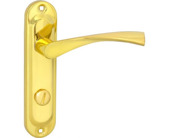 Ручка на планке VETTORE 62.323 WC GP золото 20342 