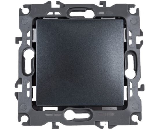 Выключатель ЭРА 12-1101-12 10АХ-250В, IP20, 12, графит Б0019276 