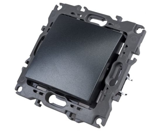 Выключатель ЭРА 12-1101-12 10АХ-250В, IP20, 12, графит Б0019276 – изображение 2