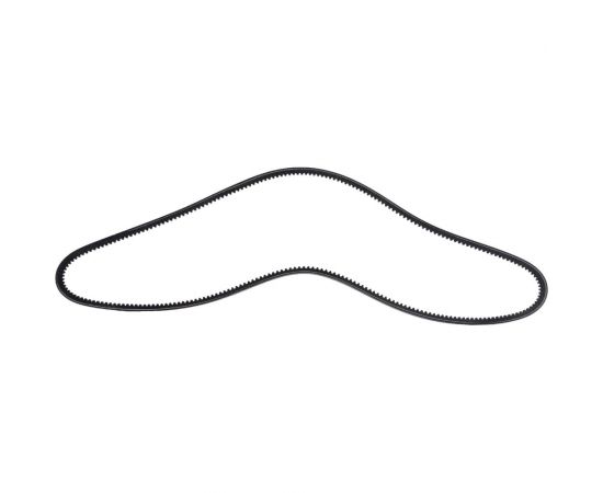Зубчатый ремень Globelt AVX13x1600 – изображение 2