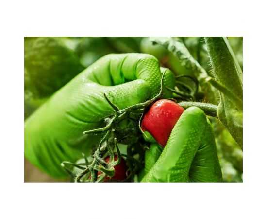 Профессиональные нитриловые перчатки gogrip, зеленые, размер XXL, 25 пар RP30029006_0001 – изображение 2