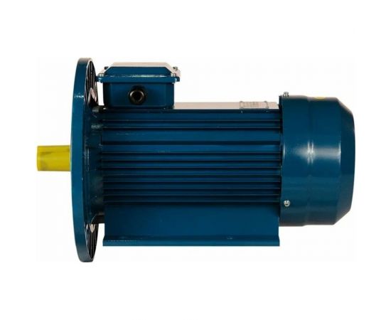 Электродвигатель 5АИ 90 L4 2.2/1500 IM 2081 01.01.213500 – изображение 4