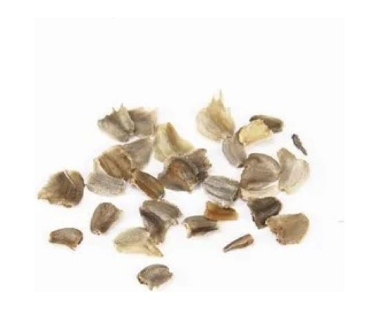 Семена ОКТЯБРИНА ГАНИЧКИНА Хризантема Полярная звезда 0.1 г 119074 – изображение 3