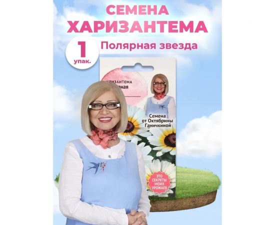Семена ОКТЯБРИНА ГАНИЧКИНА Хризантема Полярная звезда 0.1 г 119074 – изображение 2