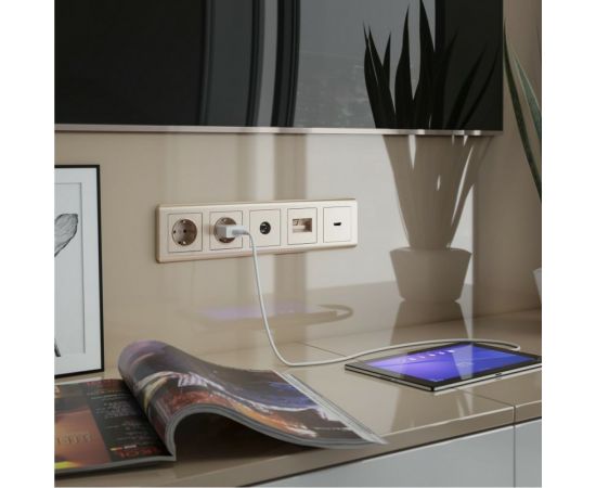 ТВ-розетка WERKEL оконечная шампань рифленый W1183010 a051427 – изображение 2