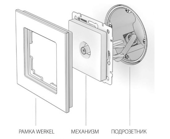 ТВ-розетка WERKEL оконечная шампань рифленый W1183010 a051427 – изображение 3