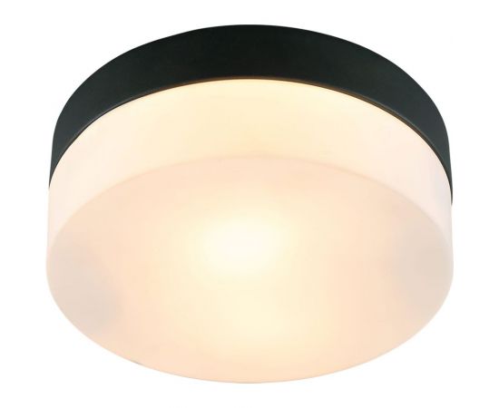 Потолочный светильник ARTE LAMP A6047PL-1BK 