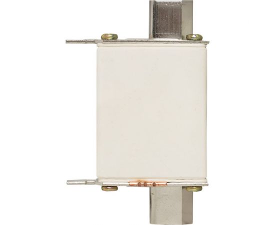 Плавкая вставка EKF ППН-33 100/63А габарит 00С fus-33/100/63 – изображение 5