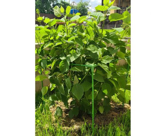 Универсальный кустодержатель Кустик 30х30х50 см 7930140130059 – изображение 4