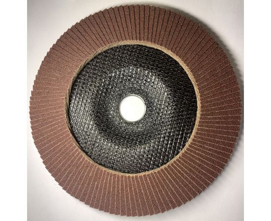 Круг лепестковый STANDART (180х22.23 мм; A40; F29) SKORPIO 710922 – изображение 2