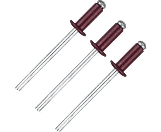 Вытяжная заклепка Daxmer 4,0х10 RAL 3005 307920 