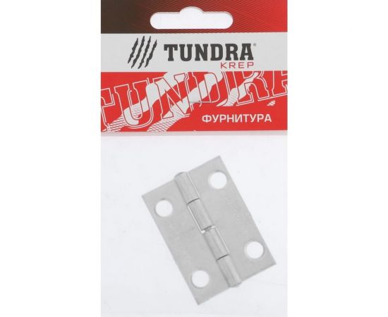 Карточная петля ТУНДРА 50х36 мм, цинк, 1 шт. 5299359 – изображение 2