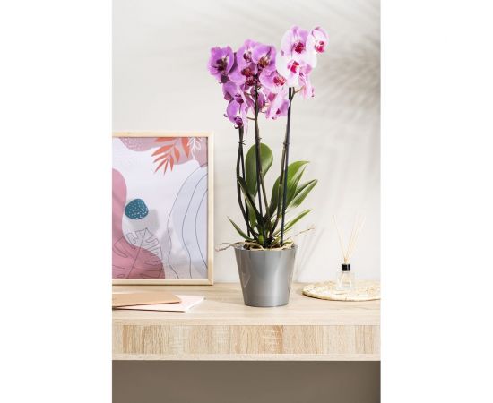 Горшок для орхидей Idiland D 160 мм, 1.6 л, с дренажной вставкой, серый перламутр 221608135/02 – изображение 2