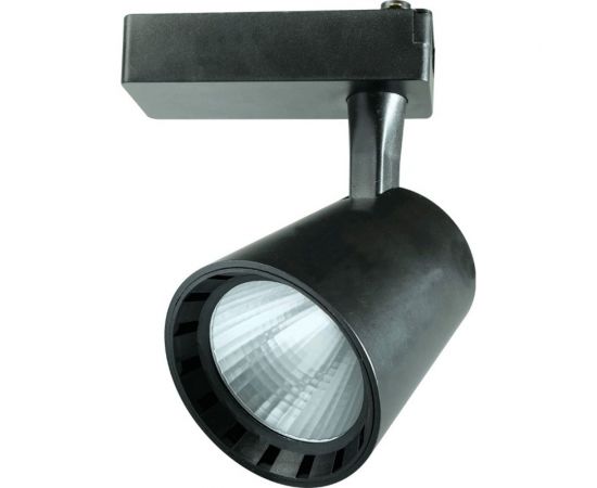 Прожектор Jazzway PTR 0330 30w 4000K 24гр. BL чёрный IP40 5010628 