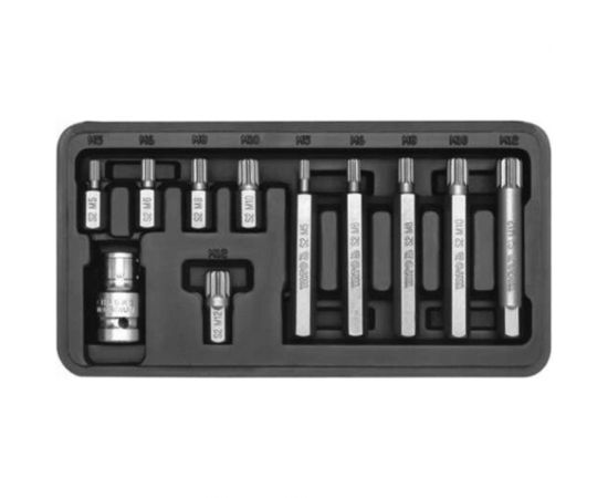 Набор бит SPLINE (11 шт; 1/2) YATO YT-0415 