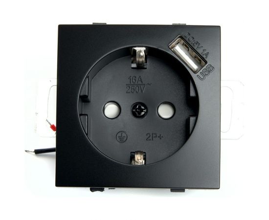 1-местная розетка STEKKER с заземлением (механизм) с USB, серия Эрна, PST16-9111-03 49155 