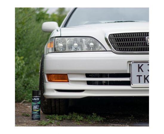 Пенный очиститель следов насекомых LAVR Антимуха, 650 мл Ln1430 – изображение 3