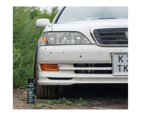 Пенный очиститель следов насекомых LAVR Антимуха, 650 мл Ln1430 – изображение 4