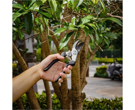 Набор сучкорез+секатор DELI DL580002 сталь 55С 98494 – изображение 26