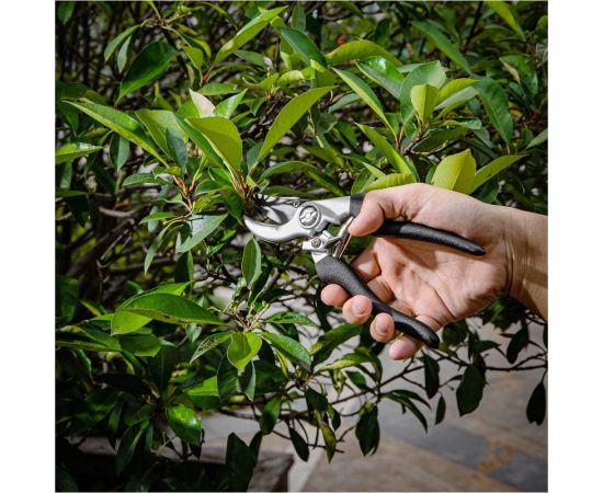 Набор сучкорез+секатор DELI DL580002 сталь 55С 98494 – изображение 25