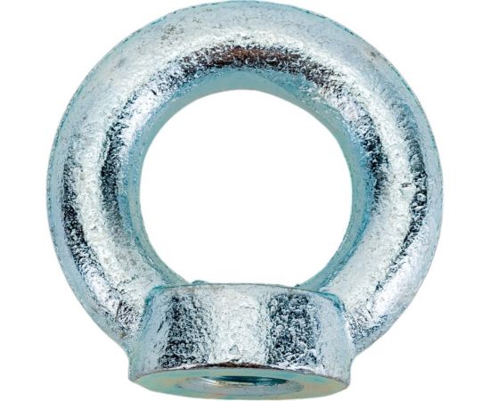 Рым-гайка TOR DIN 582 М16 1001618 