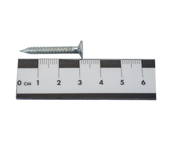 Ершеные гвозди Технониколь Шинглас оцинкованные, 30х3,5 мм, 5 кг TN357365 – изображение 2