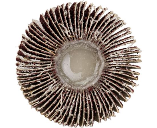 Круг лепестковый радиальный 60x30 мм, P60 FASTER TOOLS 4380 – изображение 4