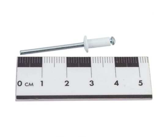 Заклёпки Профикреп RAL9003 бел.сигнальный пакет, 4,0х10 50 шт 114206 – изображение 3