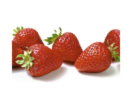 Панель для кухонного фартука ФАРТУКОФФ ФФ - 10 глянцевая, 1000x600x1.3 мм, фотопечать 35010100401 