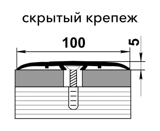 Порог со скрытым монтажем Лука пс 06.900.01л серебро, 90 см, 100 мм УТ000000675 – изображение 2