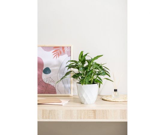 Горшок для цветов Idiland Laurel D 175 мм, 2.3 л, с поддоном, белый 221610929/01 – изображение 3