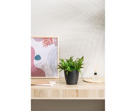 Горшок для цветов Idiland Saffron D 146 мм, 1.5 л, с поддоном, черный 221610130/02 – изображение 3