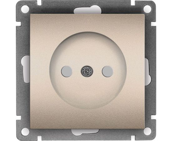 Одноместная розетка UNIVersal серия афина б/з, с/у, з/ш, 16а, 220в, шампань еврослот A0047-Br 