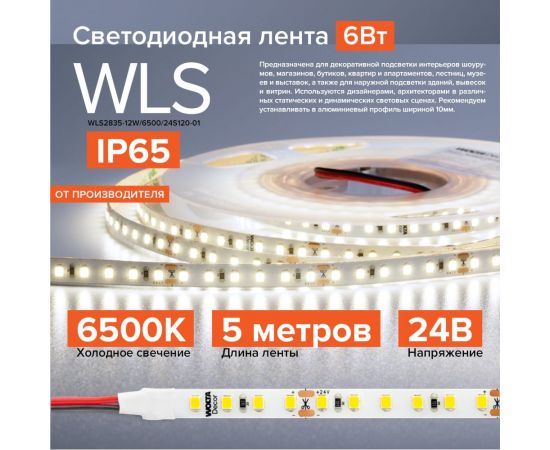Светодиодная лента Wolta Decor для улицы и дома SMD2835 12Вт 6500К 24В IP65 120led/m WLS2835-12W/6500/24S120-01 – изображение 2