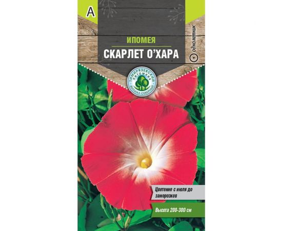 Семена Тимирязевский Питомник цветы ипомея Скарлет ОХара 1 г Of000096613 
