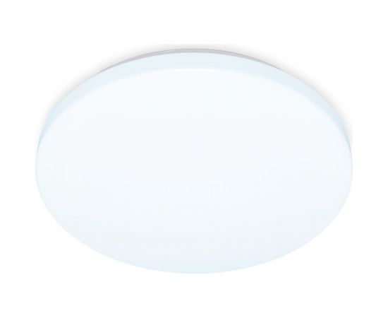 Накладной светильник Ambrella Light Air FZ1010 