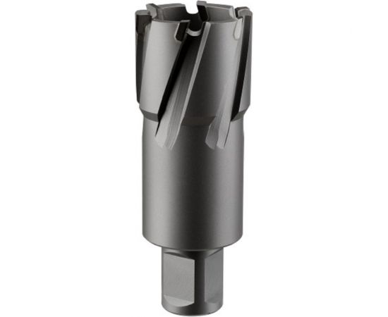 Фреза кольцевая TCT (60x55 мм; Weldon 19) ROTORICA RT.4225060 