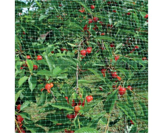 Сетка от птиц Мегапласт 2х5 м 1443 – изображение 2