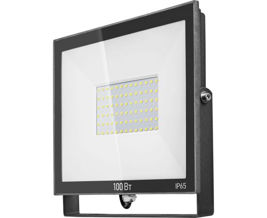 Светильник ОНЛАЙТ OFL-100-6K-BL-IP65-LED 61948 