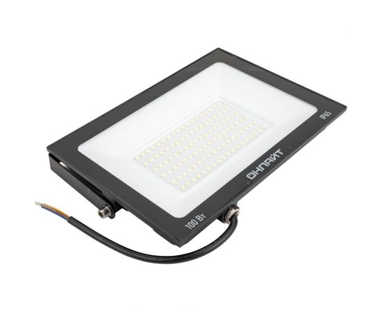 Светильник ОНЛАЙТ OFL-100-6K-BL-IP65-LED 61948 – изображение 2