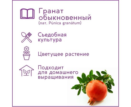 Набор для выращивания растений Тысяча Листьев гранат обыкновенный tl-031 – изображение 4